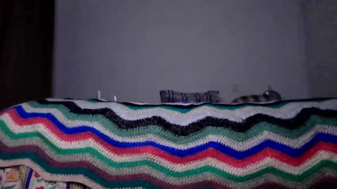 Snapshot of 0205charger chatting on 10/27/25, 03:05 0205charger online show from 10/27/25, 03:05