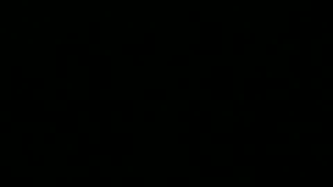 Peter online show from 12/16/25, 09:53