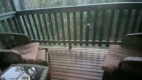 Snapshot of 101jama101 chatting on 11/14/25, 09:19 Intenseduo online show from 11/14/25, 09:19