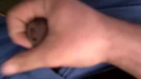 12theose online show from 02/07/26, 10:30