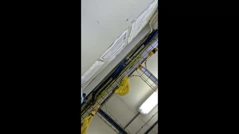 1971berliner online show from 02/24/26, 12:03