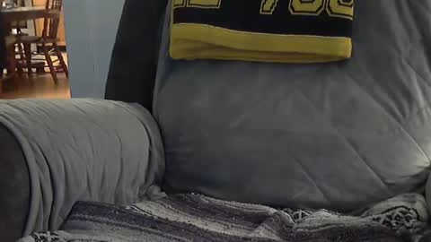 1badboy360 online show from 02/08/25, 02:58