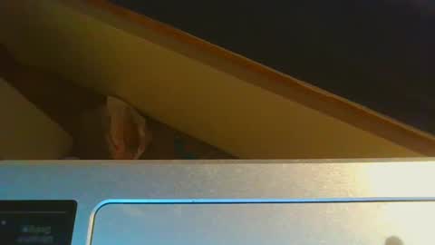 Snapshot of 1lovenaturals chatting on 12/15/24, 08:58 Jason online show from 12/15/24, 08:58