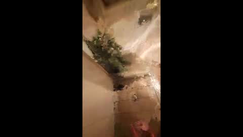 1naughtypapi online show from 06/05/26, 12:22