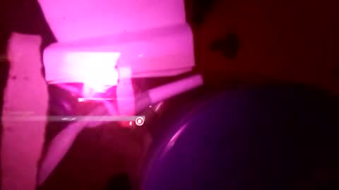 1st___ online show from 11/25/25, 08:58