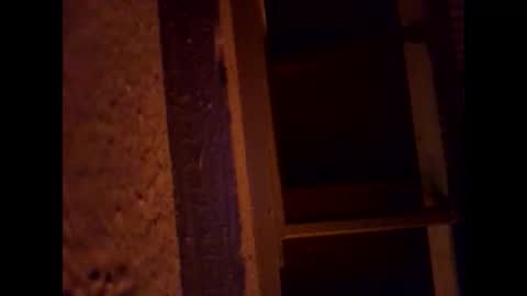 1st___ online show from 03/01/26, 05:53