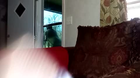 BlacJewels online show from 02/22/26, 04:16