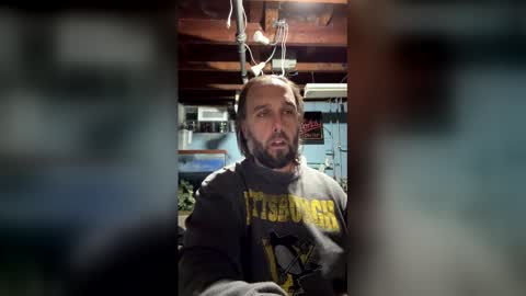 33adidas online show from 03/15/26, 10:32