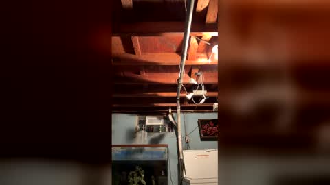 33adidas online show from 03/25/26, 08:20