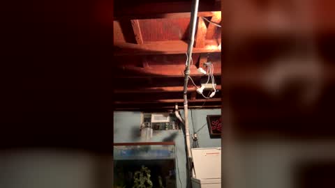 33adidas online show from 03/26/26, 08:20