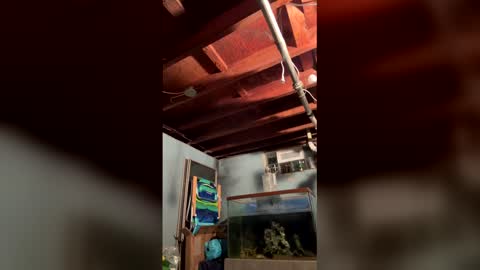 33adidas online show from 03/27/26, 08:26