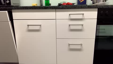 Snapshot of 4evervirgo chatting on 11/27/25, 05:37 Alex online show from 11/27/25, 05:37