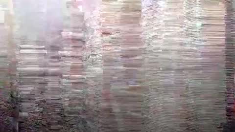 Snapshot of 4kbrandon2fck chatting on 12/13/24, 09:57 Kyle Brandon online show from 12/13/24, 09:57