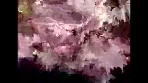 Snapshot of 4kbrandon2fck chatting on 01/30/25, 04:55 Kyle Brandon online show from 01/30/25, 04:55