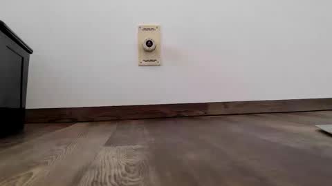 Steven online show from 01/13/26, 11:04