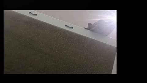 RecentBison online show from 11/02/25, 08:44