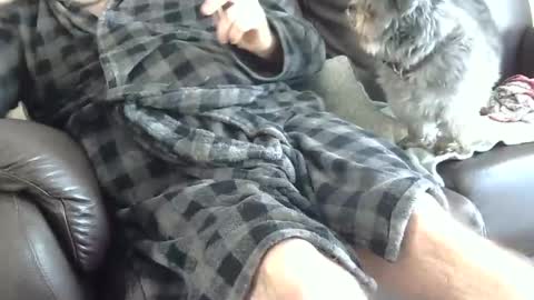 66bear online show from 12/25/24, 04:43