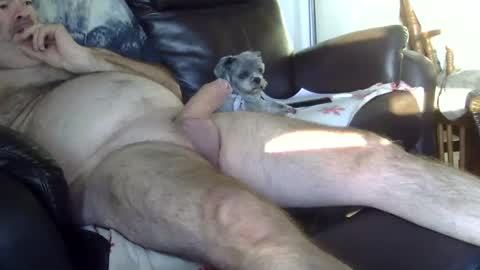 66bear online show from 10/05/25, 11:41