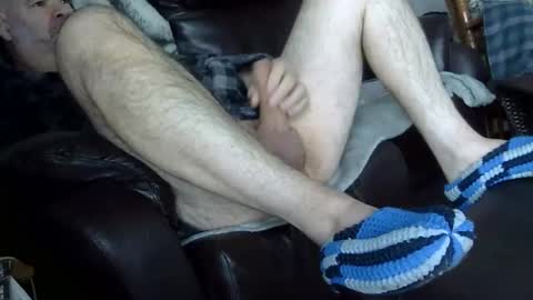 66bear online show from 03/23/26, 11:47