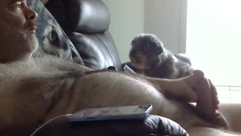 66bear online show from 05/31/26, 02:24