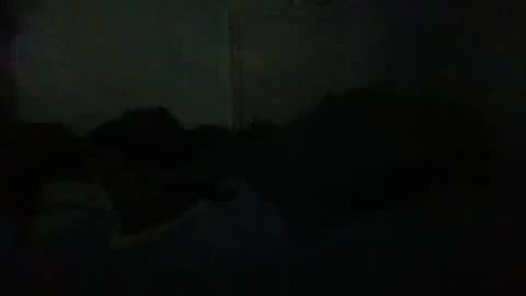 69696977 online show from 04/01/26, 05:19