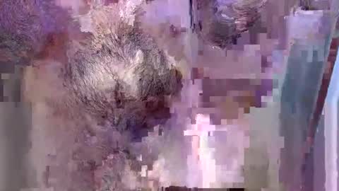 Snapshot of 69bidam chatting on 12/14/25, 02:11 69bidam online show from 12/14/25, 02:11