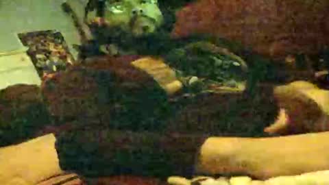 6instraighter7 online show from 11/03/25, 11:55