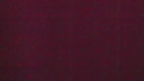 Brendi online show from 01/31/25, 07:50