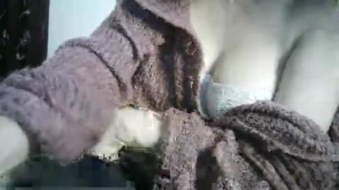 Snapshot of 77lilu chatting on 10/14/25, 08:53 Lilu online show from 10/14/25, 08:53