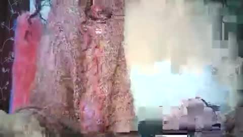 Lilu online show from 02/15/26, 09:41