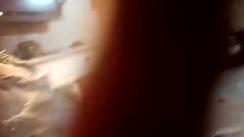 7lairddip online show from 10/06/25, 03:59