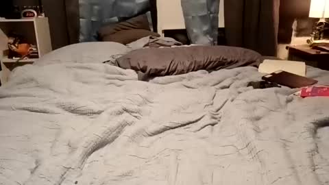 7lairddip online show from 02/15/26, 07:51