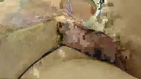 Snapshot of 8385 chatting on 03/03/25, 12:15 8385 online show from 03/03/25, 12:15