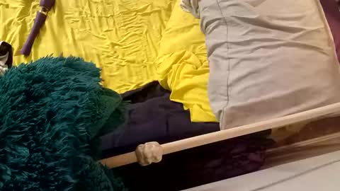 8intenn online show from 03/24/26, 04:17