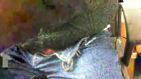 99zeus9 online show from 11/27/25, 01:46