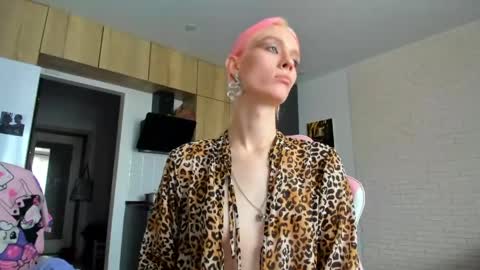 Snapshot of _alice_kitty chatting on 04/30/26, 12:44 Gaylord online show from 04/30/26, 12:44
