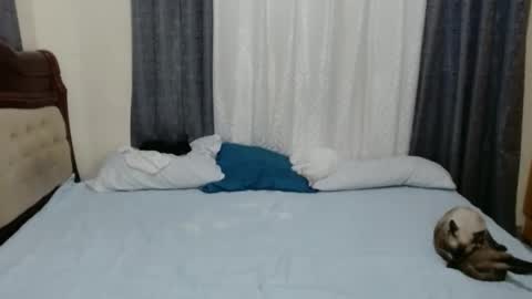 Amber online show from 12/25/24, 07:02