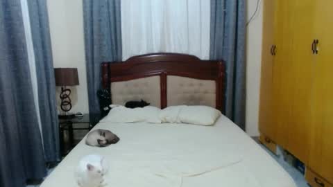 Amber online show from 01/30/25, 05:39