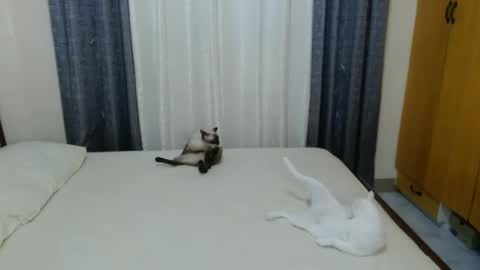 Amber online show from 02/03/25, 05:03