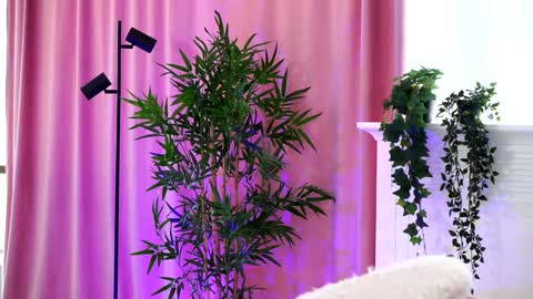 Arielle online show from 12/19/24, 01:07