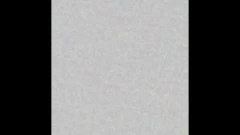 Brenda online show from 02/17/25, 12:48