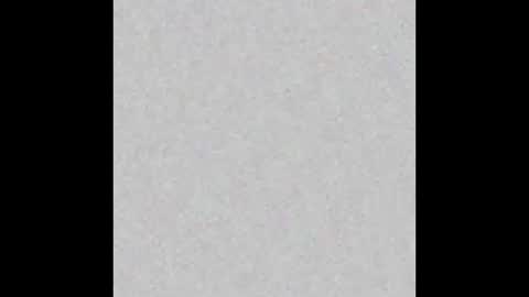 Brenda online show from 02/18/25, 12:28