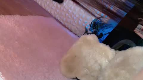 Caroline online show from 03/08/25, 06:32