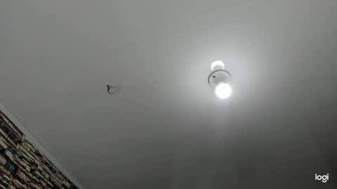 _casandra11 online show from 01/23/25, 09:39