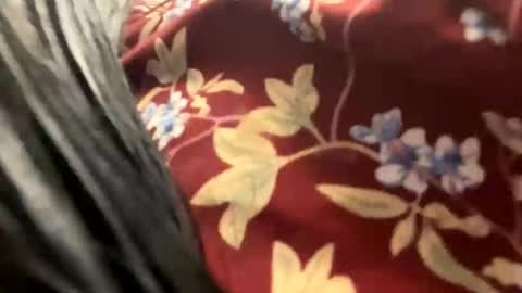 _catalina_linda_ok online show from 10/26/25, 06:41