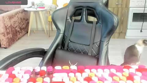 Snapshot of _feralberry__ chatting on 03/10/26, 06:29 Alis online show from 03/10/26, 06:29