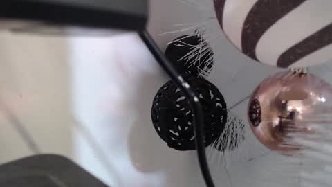 Cata  online show from 12/02/25, 03:12