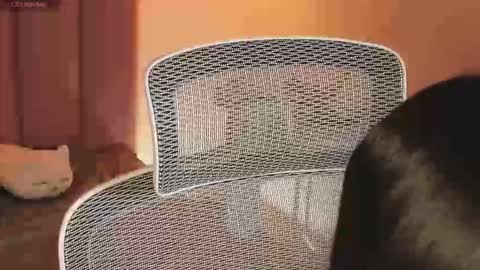 _kata online show from 12/20/25, 11:28