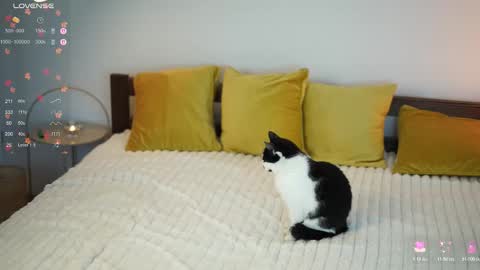 _million_dollarsmile online show from 12/01/25, 12:43