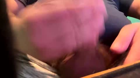 _peterson_ online show from 01/15/25, 10:24